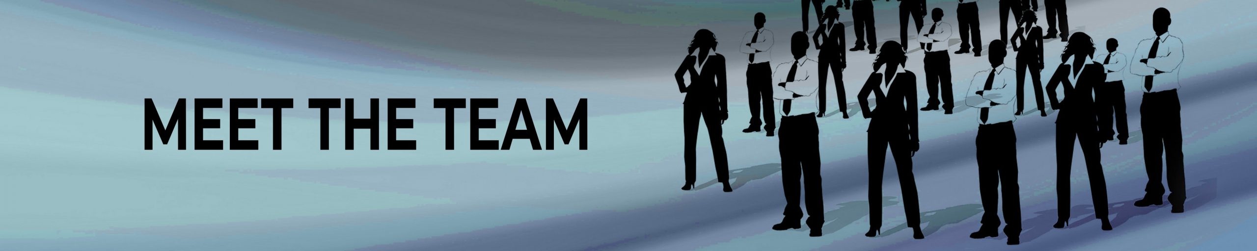 Free image/jpeg, Resolution: 4961x1804, File size: 807Kb, people silhouettes on blue stripes banner